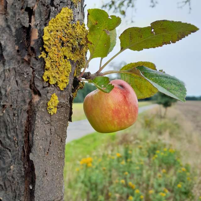 Weather forecasts with beautiful photos by Ute-Eleonore