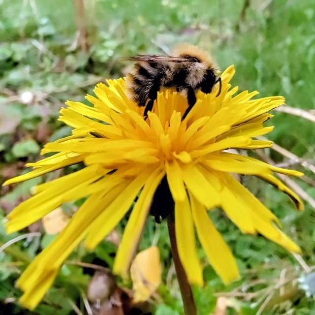 Pronósticos del tiempo con hermosas fotos de Richtoldi
