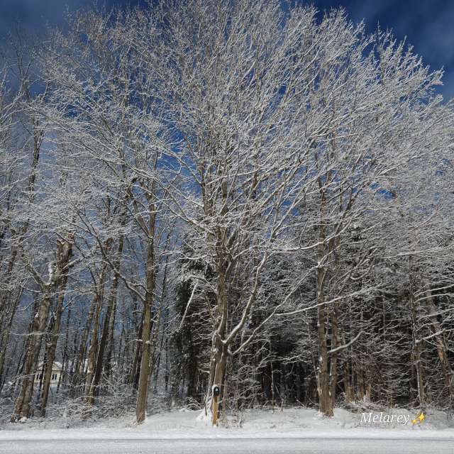 Man. Weather forecasts with beautiful photos by Melarey Photos in World
