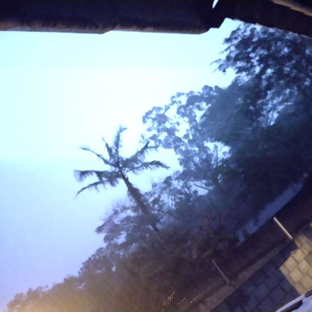 Wettervorhersagen mit schönen Fotos von Junior Kaus