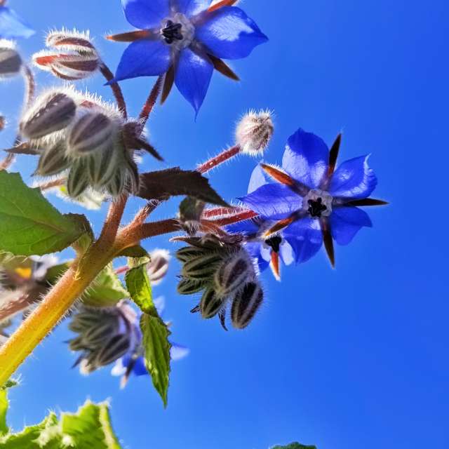 Прогнозы погоды с чудесными фотографиями, сделанными RUMBASTER