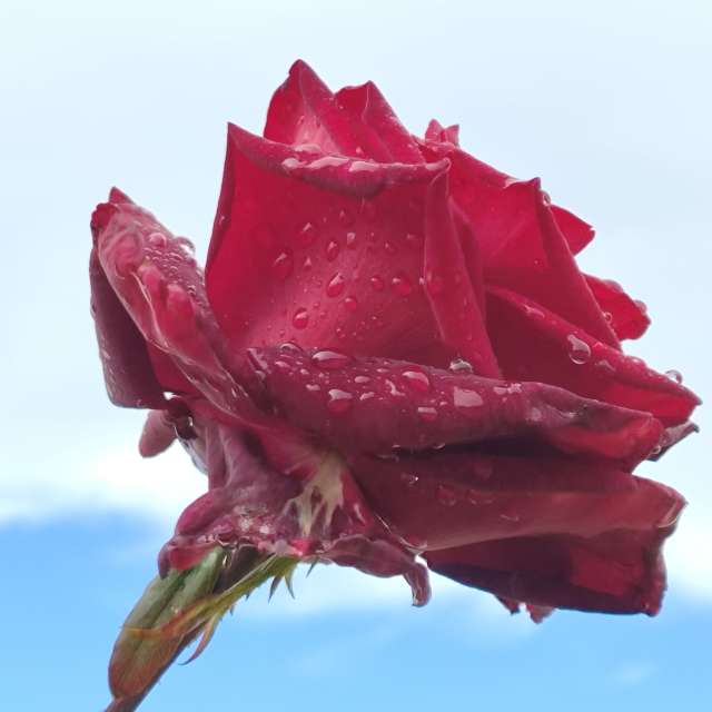 Прогнозы погоды с чудесными фотографиями, сделанными Brtd