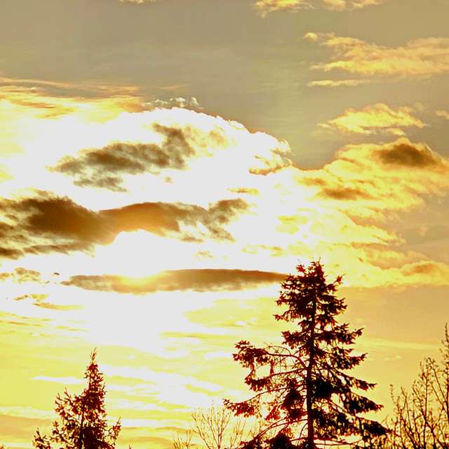 Herd. Weather forecasts with beautiful photos by Seni Photos in Velbert