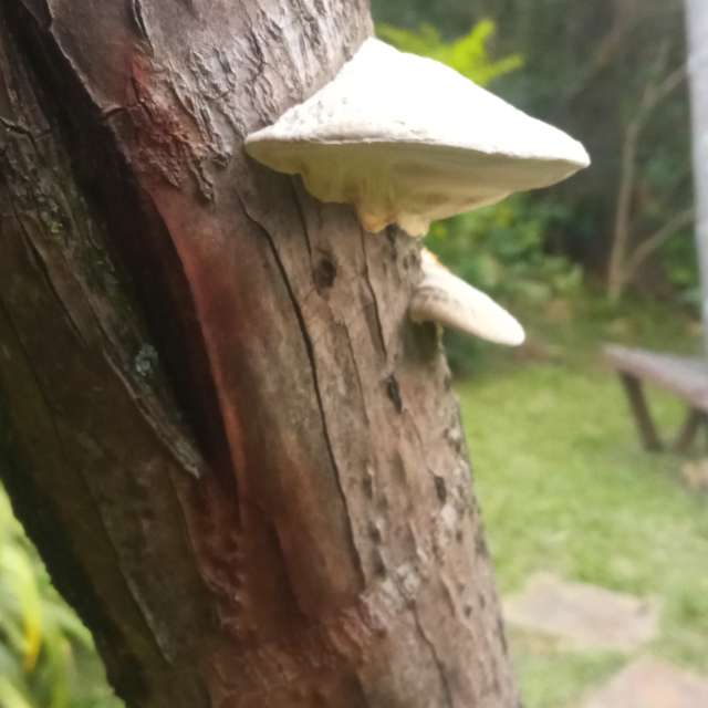 Weather forecasts with beautiful photos by Kimivagner