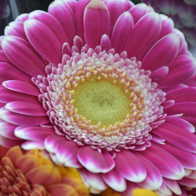 Weather Photos in Calgary. Weather forecasts with beautiful photos by 1stEyeFocused