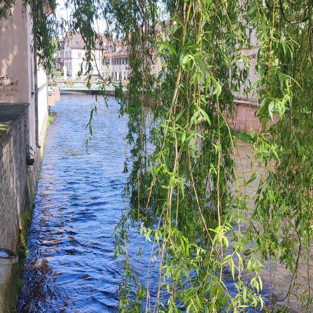 Body. Weather forecasts with beautiful photos by Tercis Photos in Ettlingen