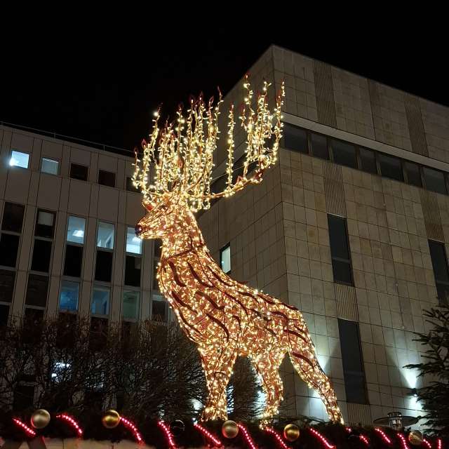 Прогнозы погоды с чудесными фотографиями, сделанными schimi