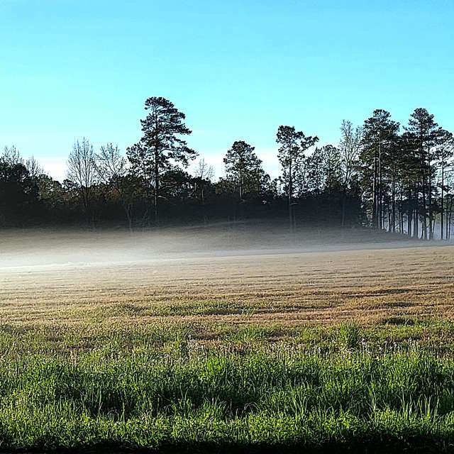 Prévisions météo avec de superbes photos de BJTHinSC