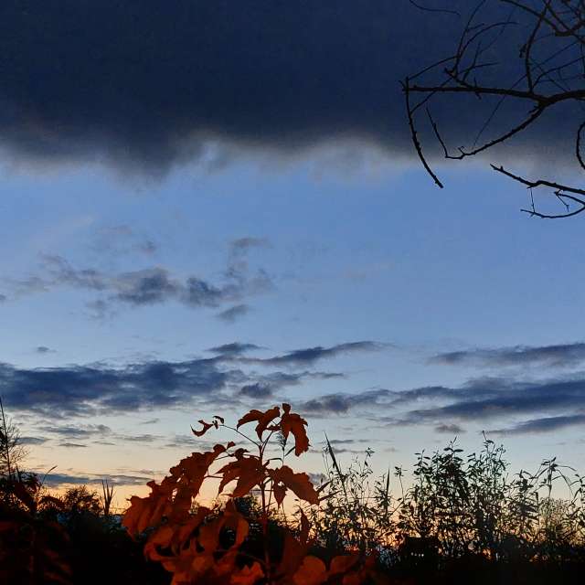 Dusk. Weather forecasts with beautiful photos by Iryna Photos in Kharkiv