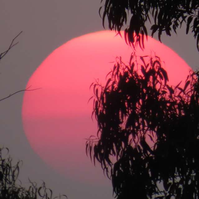 世界の天気写真. Lolliの美しい写真による天気予報