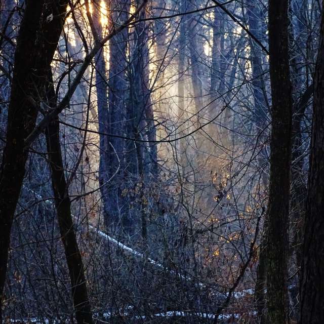 Skiing. Weather forecasts with beautiful photos by Михаил Гавриков Photos in Kharkiv