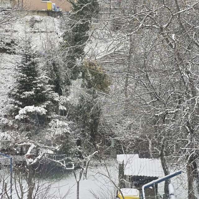 Helaの美しい写真による天気予報