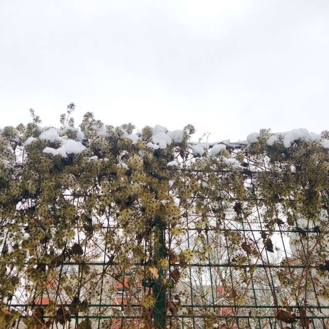 Прогнозы погоды с чудесными фотографиями, сделанными Zorrra