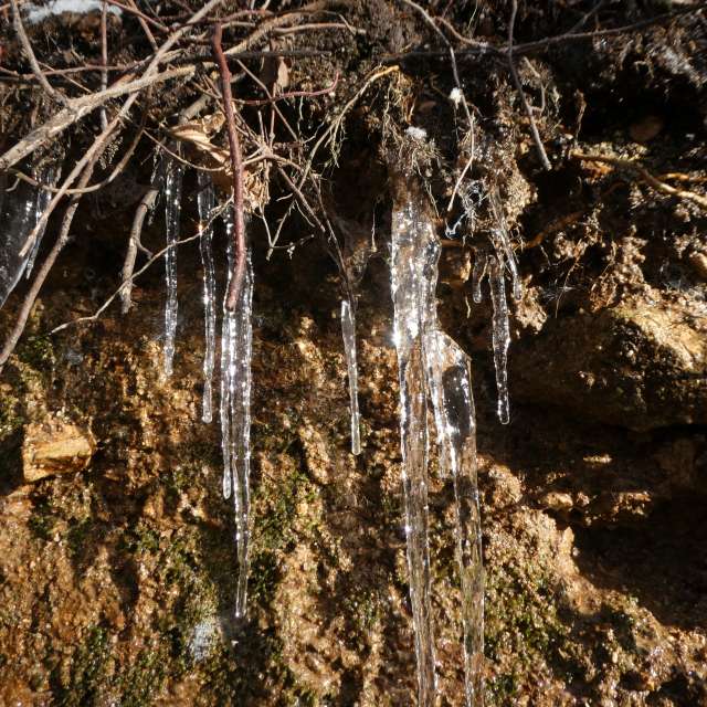 Прогнозы погоды с чудесными фотографиями, сделанными Fredy_Hiker