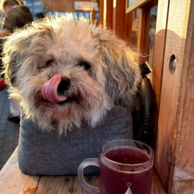 RoDi-zignの美しい写真による天気予報