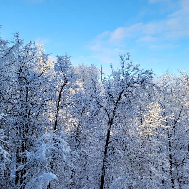 天气预报，带PaulKu精美的照片