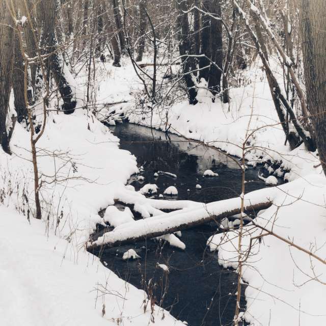 George Popoの美しい写真による天気予報