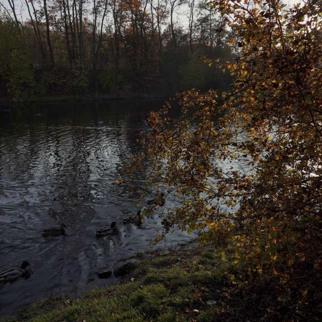Fotos Lago. Previsões do tempo com lindas fotos de Vasek325 em Praha 12