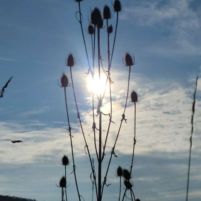 天气预报，带Brtd精美的照片