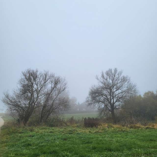 Pronósticos del tiempo con hermosas fotos de aida-khaldi