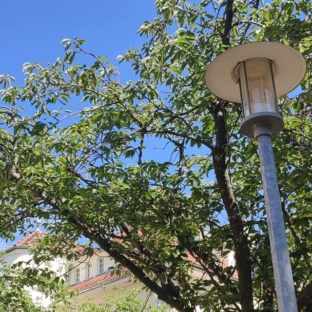 Tower. Weather forecasts with beautiful photos by Tercis Photos in Ettlingen