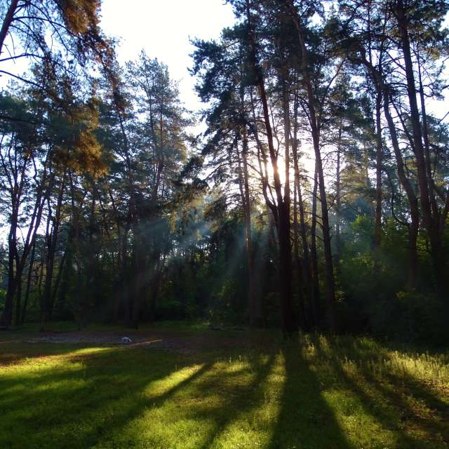 Field. Weather forecasts with beautiful photos by Михаил Гавриков Photos in Kharkiv