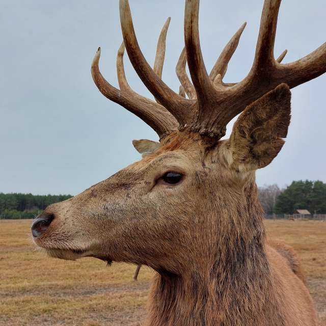 Weather Photos in World. Weather forecasts with beautiful photos by Iryna