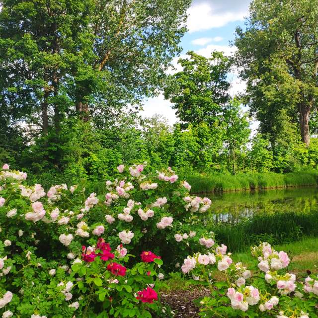 天气预报，带newgen精美的照片