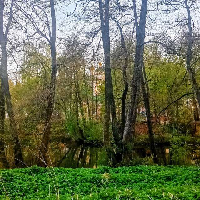 Photos Groupe. Prévisions météo avec de superbes photos de Ратибор de Moscow Oblast