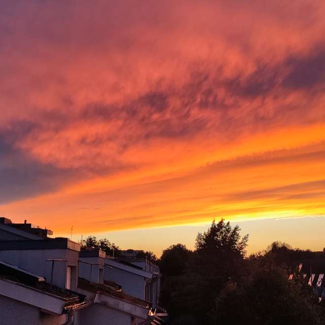 Orange. Weather forecasts with beautiful photos by Tercis Photos in Ettlingen