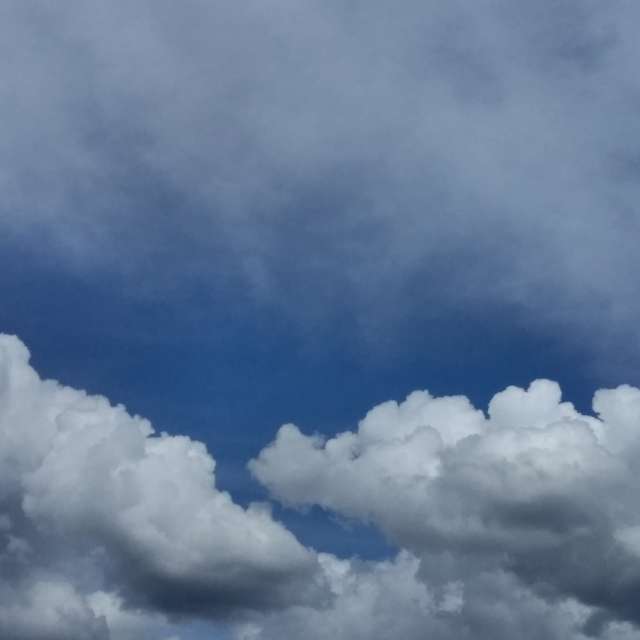 天气预报，带ThomasN精美的照片