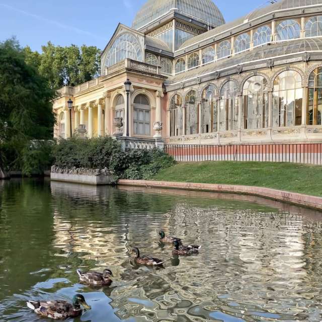 Green. Weather forecasts with beautiful photos by Nuvolari Photos in Madrid