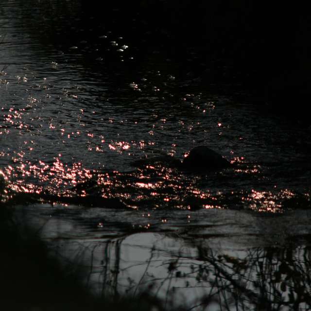 Standing. Weather forecasts with beautiful photos by tony5636 Photos in Calvisson