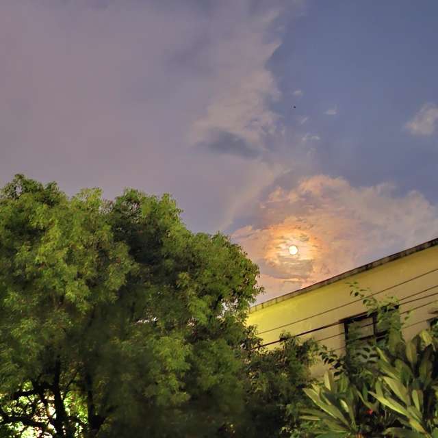 Car. Weather forecasts with beautiful photos by Wen-ya Huang Photos in Kaohsiung City