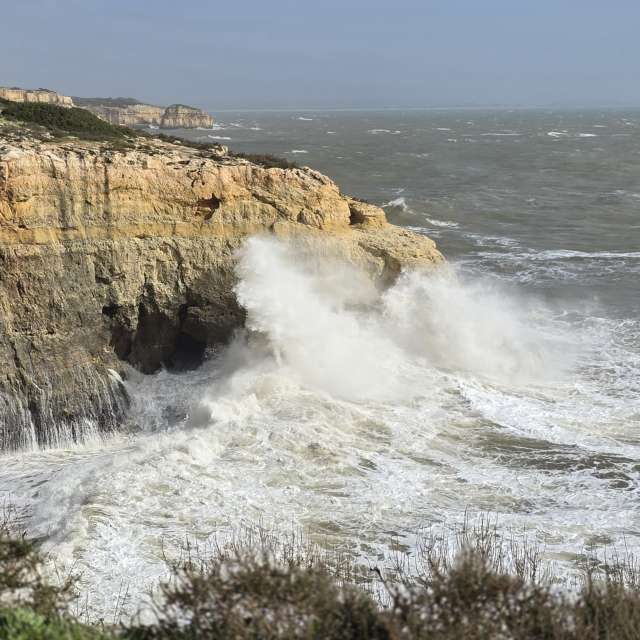 Brtdの美しい写真による天気予報