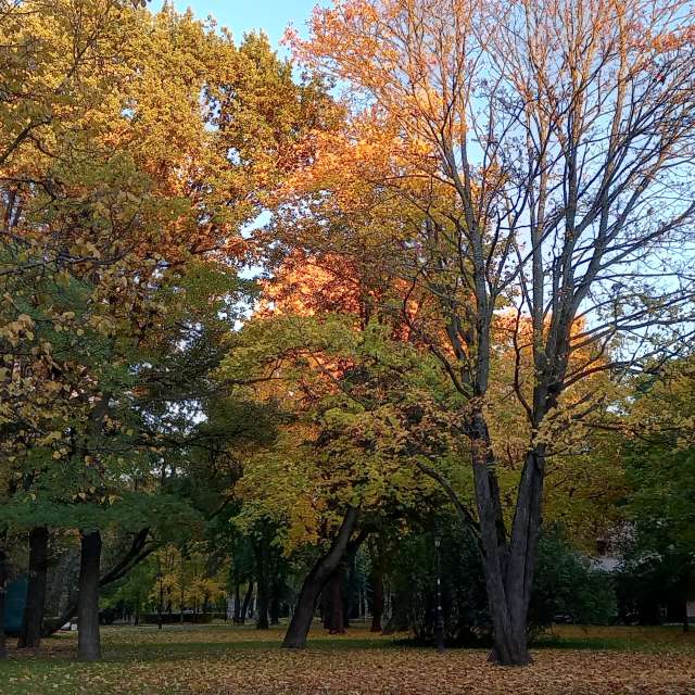 Pronósticos del tiempo con hermosas fotos de Prohojiy