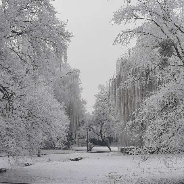 Germany. Weather forecasts with beautiful photos by verdeazul Photos in World
