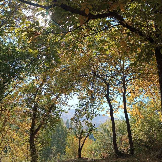 Pronósticos del tiempo con hermosas fotos de miladzee