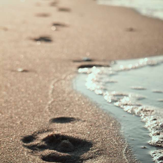 天气预报，带Axys精美的照片