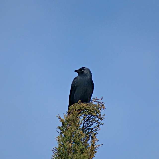 Weather forecasts with beautiful photos by tony5636