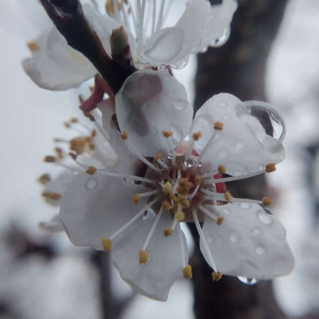 Spring. Weather forecasts with beautiful photos by Setill Photos in World