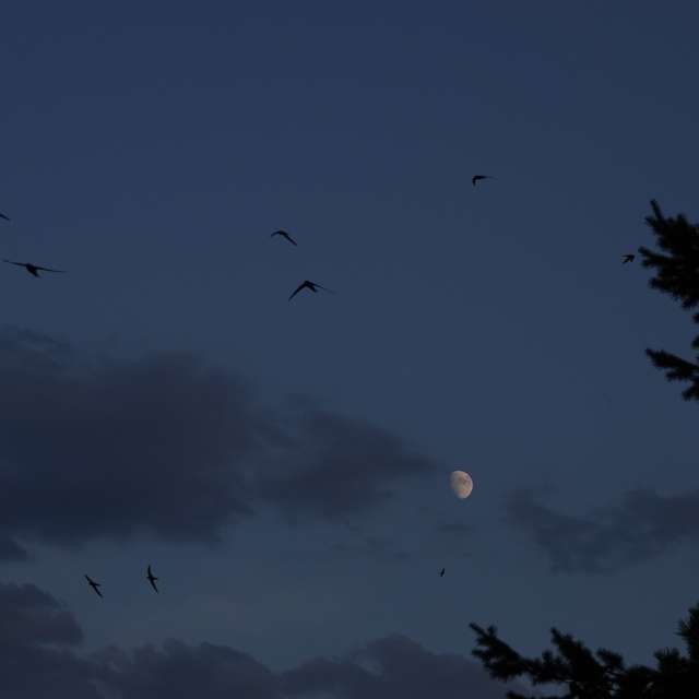 Fotos Muitos. Previsões do tempo com lindas fotos de Vasek325 em Praha 4