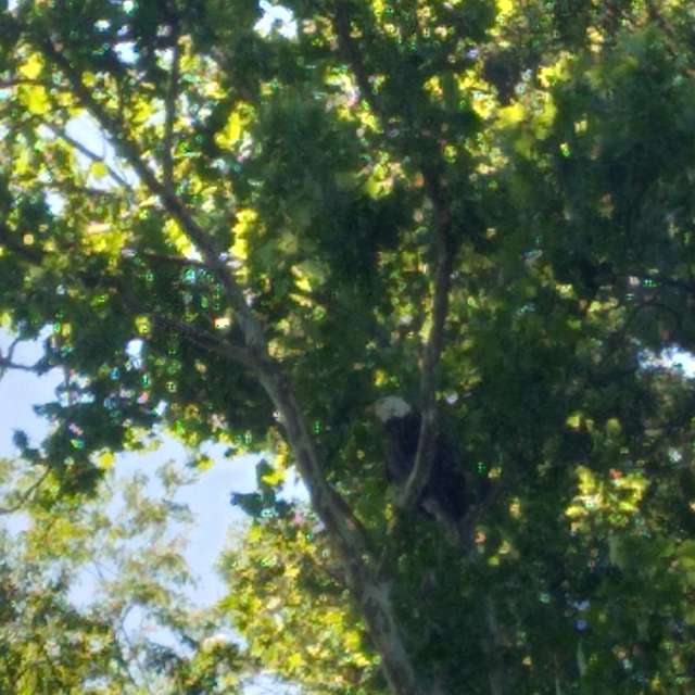 Pronósticos del tiempo con hermosas fotos de Jasoncrissy