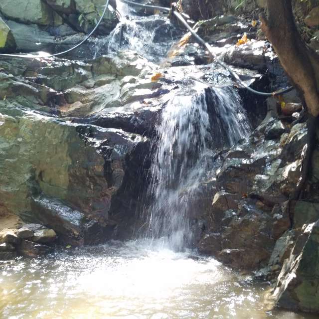 Weather forecasts with beautiful photos by Maggie Cabrer