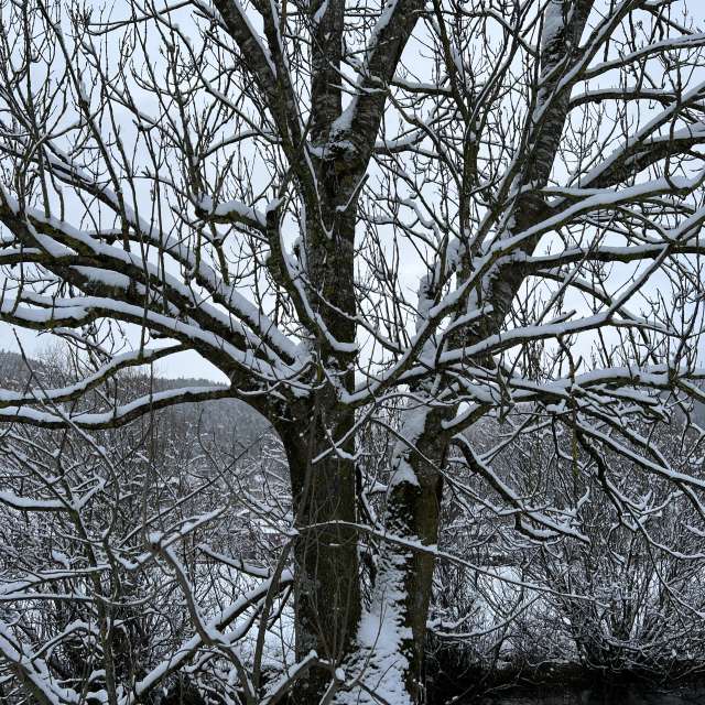 Photos Chemin. Prévisions météo avec de superbes photos de SwissEloi de Sonceboz