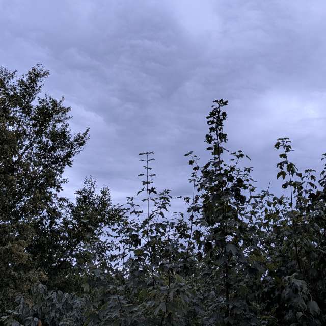 Wettervorhersagen mit schönen Fotos von Frank Neuhaus