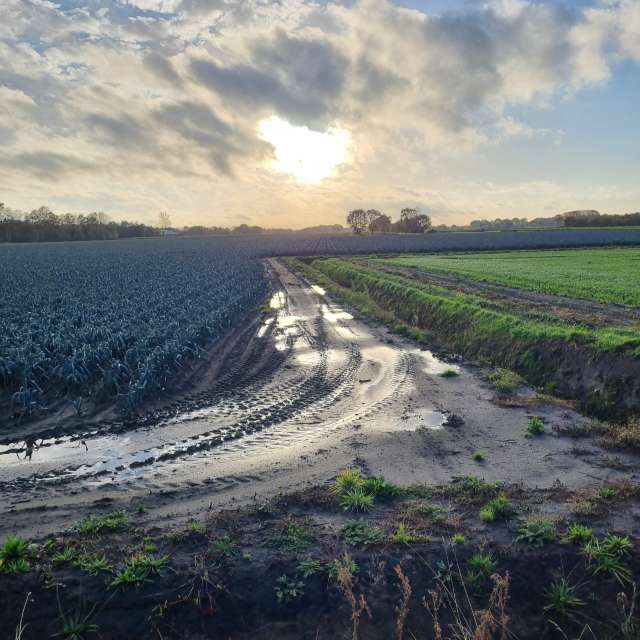 Greetの美しい写真による天気予報