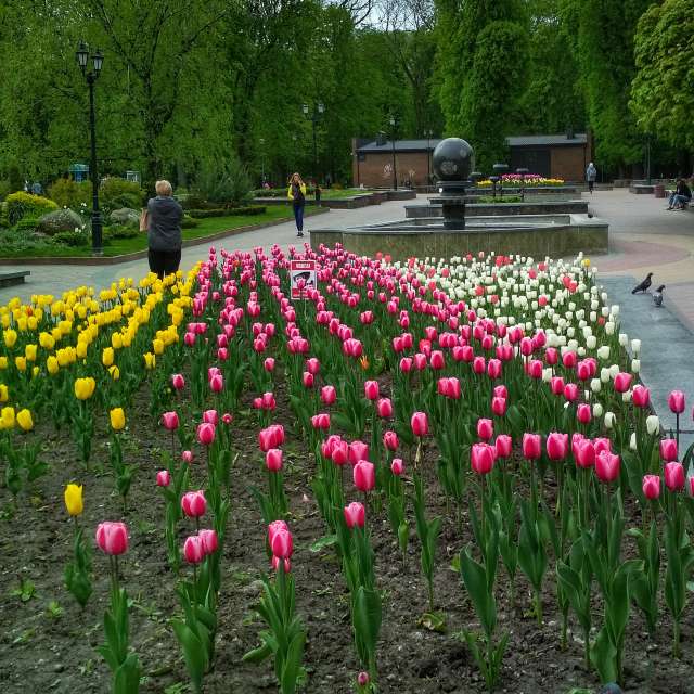 Weather Photos in World. Weather forecasts with beautiful photos by urashm