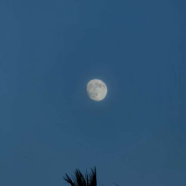 天气预报，带alex_0454精美的照片