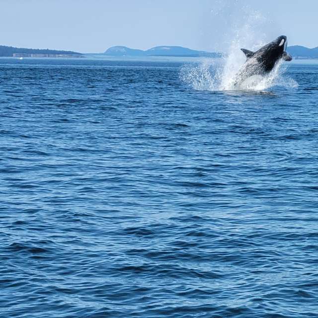 Pronósticos del tiempo con hermosas fotos de Birdy25